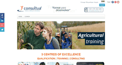 Desktop Screenshot of consultua.pt